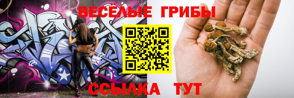 Галлюциногенные грибы MAGIC MUSHROOMS Якутск